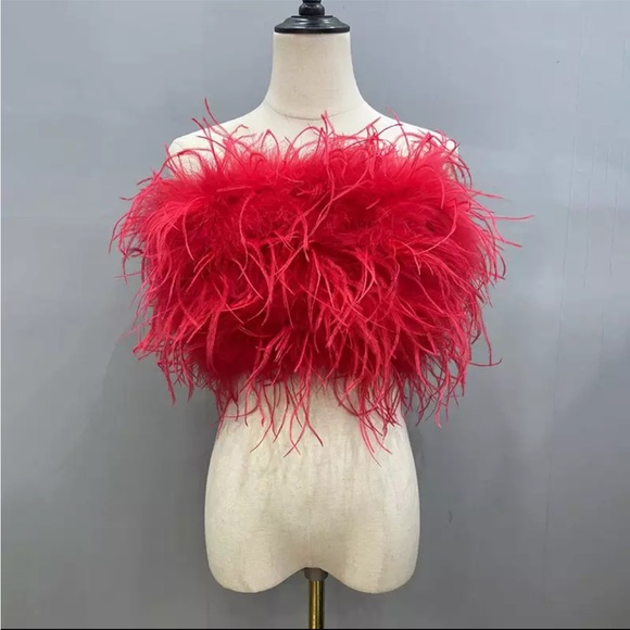Tops - 🎉Pre Order New 100% Real Ostrich Feathers Crop Top Or Wear As A Mini Ski…